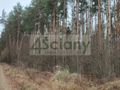 Działka rekreacyjna 1,10 ha, Wycześniak - zdjęcie 5