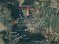 Działka gospodarstwo 3000&nbsp;m², Wycześniak - zdjęcie 3
