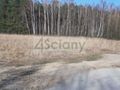Działka rekreacyjna 3100&nbsp;m², Wycześniak - zdjęcie 2