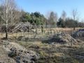 Działka gospodarstwo 3000&nbsp;m², Wycześniak - zdjęcie 1