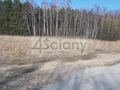 Działka gospodarstwo 3000&nbsp;m², Wycześniak - zdjęcie 2