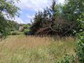 Działka budowlana 1600 m², Kotowice - zdjęcie 4