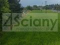 Działka budowlana 3990&nbsp;m², Bieniewice - zdjęcie 2