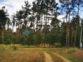 Wyjątkowa działka w otoczeniu przyrody! - zdjęcie 6