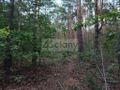 Działka rolna 2764&nbsp;m², Truskaw - zdjęcie 1