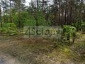 Działka rolna 2764&nbsp;m², Truskaw - zdjęcie 2