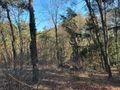 Działka budowlana 1438 m², Grotniki - zdjęcie 2