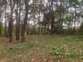 Działka budowlana 1438 m², Grotniki - zdjęcie 3