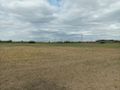 Działka rolna 1,70&nbsp;ha, Swadzim, S11 DK92 - zdjęcie 5