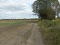 Działka rolna 1,70&nbsp;ha, Swadzim, S11 DK92 - zdjęcie 3