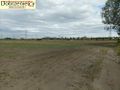 Działka rolna 1,70&nbsp;ha, Swadzim, S11 DK92 - zdjęcie 1