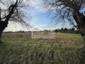 Działka budowlana 1052 m², Lubczyna, Cisowa - zdjęcie 5