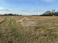 Działka budowlana 1052 m², Lubczyna, Cisowa - zdjęcie 4