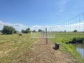 Działka rolna 1584 m², Lubczyna - zdjęcie 5