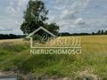 Działka rolna 25,29&nbsp;ha, Dobropole - zdjęcie 1