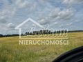 Działka rolna 25,29&nbsp;ha, Dobropole - zdjęcie 2