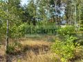 Działka budowlana 1400&nbsp;m², Chotomów - zdjęcie 6