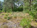 Działka budowlana 1400&nbsp;m², Chotomów - zdjęcie 5