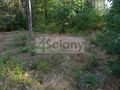 Działka budowlana 1400&nbsp;m², Chotomów - zdjęcie 2