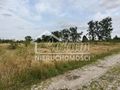 Działka budowlana 3113&nbsp;m², Białuń - zdjęcie 6
