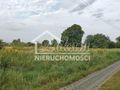 Działka budowlana 3113&nbsp;m², Białuń - zdjęcie 4