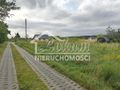 Działka budowlana 3200&nbsp;m², Białuń - zdjęcie 3