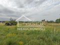 Działka budowlana 3200&nbsp;m², Białuń - zdjęcie 4