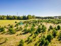 Działka o powierzchni 5,30 ha w gminie Kościerzyna - zdjęcie 4