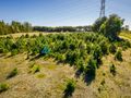 Działka o powierzchni 5,30 ha w gminie Kościerzyna - zdjęcie 6