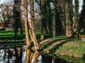 Działka inwestycyjna 1,00 ha, Radwanice, Katarzyńska - zdjęcie 2