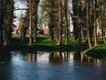 Działka inwestycyjna 1,00 ha, Radwanice, Katarzyńska - zdjęcie 3