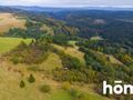 Działka budowlana 4300&nbsp;m², Duszniki-Zdrój, Zieleniec, Zieleniec - zdjęcie 5