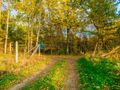 Działka położona w sąsiedztwie lasów i jeziora - zdjęcie 2