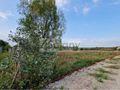 Działka budowlana 1500&nbsp;m², Warszawa - zdjęcie 2