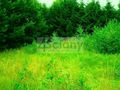 Działka budowlana 2224 m², Łępice - zdjęcie 4