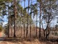 Działka rolna 1790&nbsp;m², Wolica - zdjęcie 1