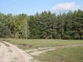 Zabielne Działka do sprzedania - zdjęcie 1