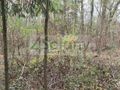 Działka rekreacyjna 1500&nbsp;m², Ojrzanów - zdjęcie 1
