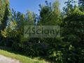 Działka budowlana 1727&nbsp;m², Otrębusy - zdjęcie 2