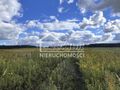 Działka rolna 3012&nbsp;m², Żółwia Błoć - zdjęcie 3