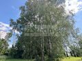 Działka gospodarstwo 6671&nbsp;m², Sławka Mała - zdjęcie 2