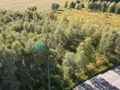 Działka 3001 m blisko centrum Gdańska - zdjęcie 5
