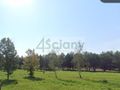 Działka budowlana 1002&nbsp;m², Rajszew - zdjęcie 3
