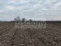 Działka budowlana 1132&nbsp;m², Zaborówek - zdjęcie 1