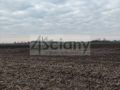 Działka budowlana 1132&nbsp;m², Zaborówek - zdjęcie 3