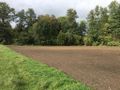 Działka budowlana 3287 m², Raków - zdjęcie 3