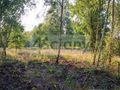 Działka budowlana 8294&nbsp;m², Czarny Las - zdjęcie 3