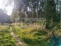 Działka budowlana 8294&nbsp;m², Czarny Las - zdjęcie 6