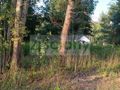 Działka budowlana 8294&nbsp;m², Czarny Las - zdjęcie 2