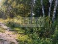 Działka budowlana 8294&nbsp;m², Czarny Las - zdjęcie 1